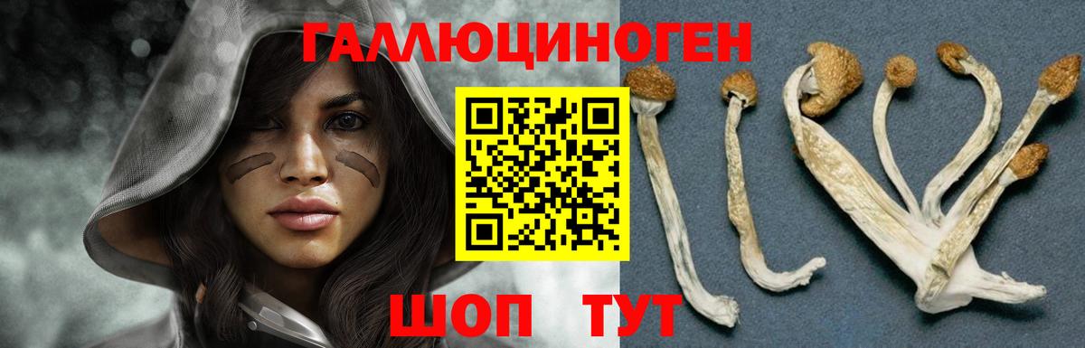 Псилоцибиновые грибы мухоморы Ржев